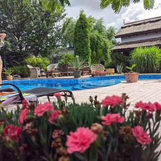 Casa de vara - Image 9